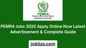 PEMRA Jobs 2025 Apply Online Now Latest Advertisement & Complete Guide