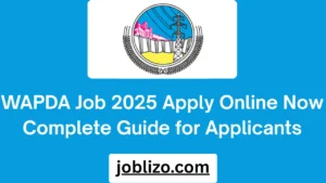 WAPDA Job 2025 Apply Online Now Complete Guide for Applicants