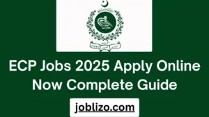 ECP Jobs 2025 Apply Online Now Complete Guide